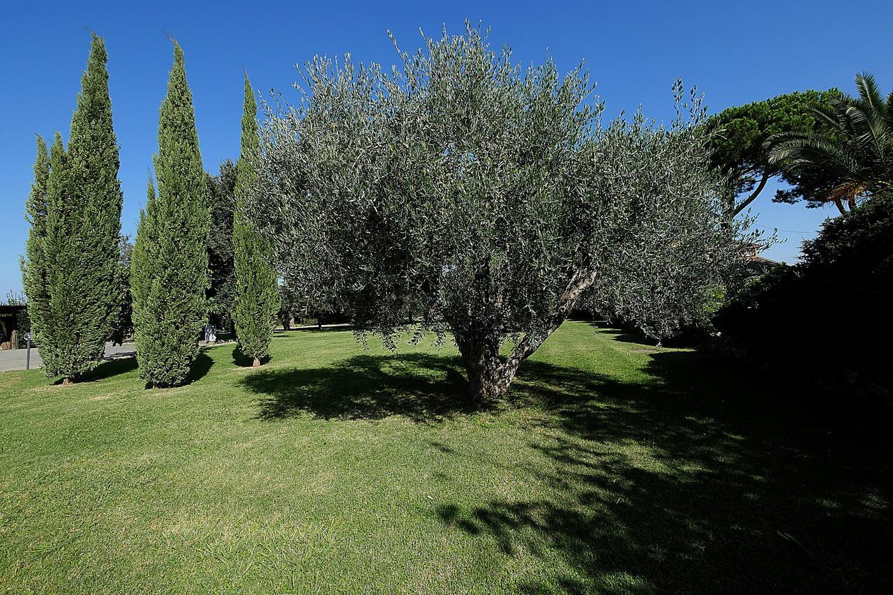 Agriturismo Il Pelago Villa Castagneto Carducci Eksteriør billede